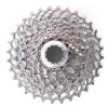 Sram PG-1070 10-fach-Steckkassette 12-32Z